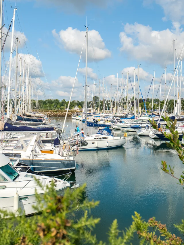 Sailboat Port La Foret Pontoon Boat Poriel
