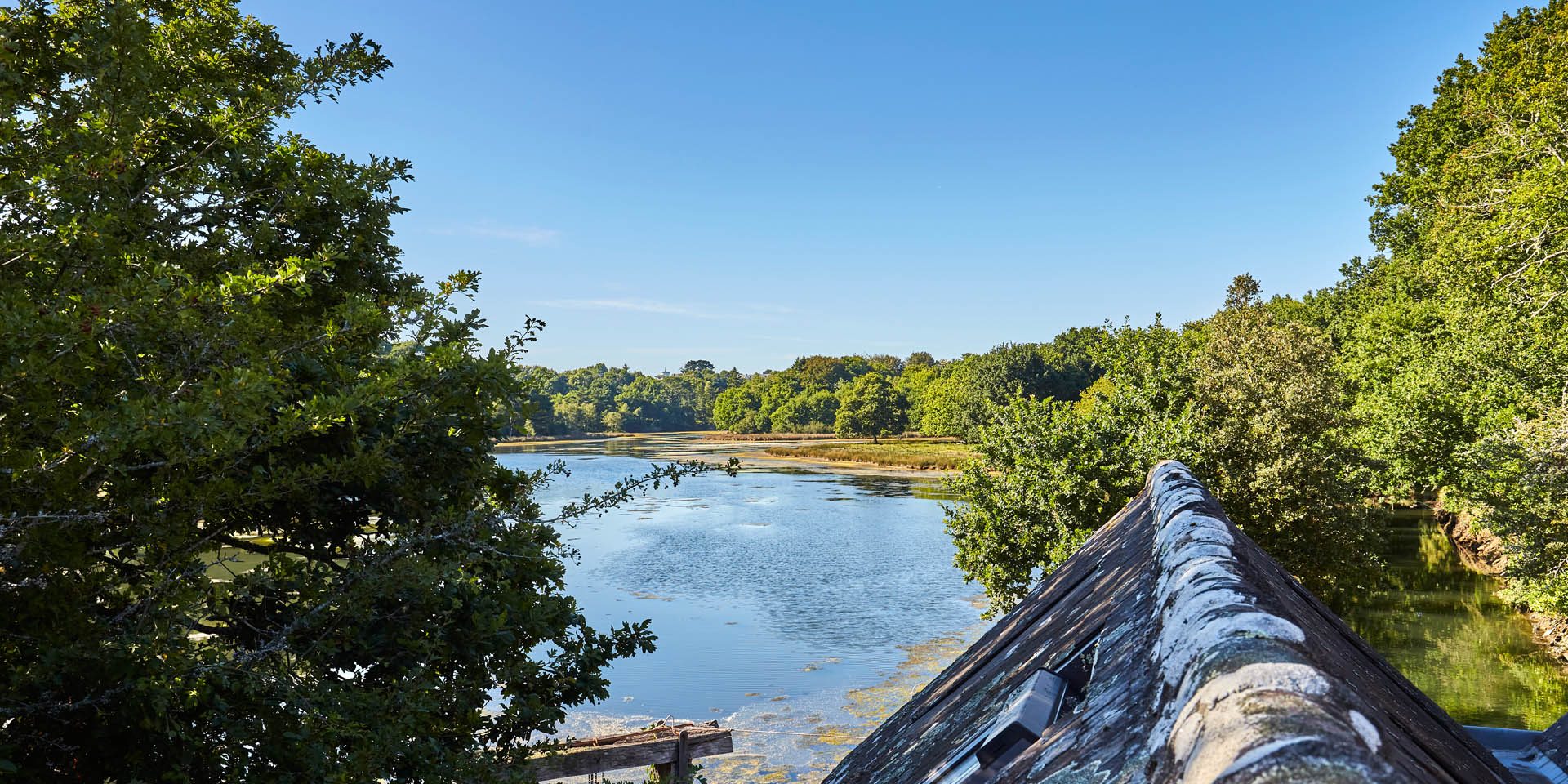 Penfoulic wood and cove