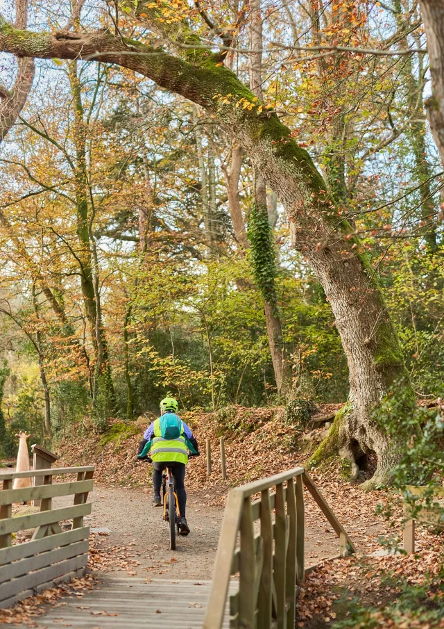 Bois de Penfoulic