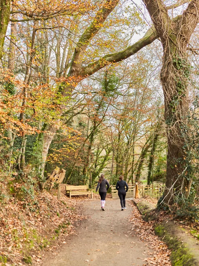 Bois de Penfoulic