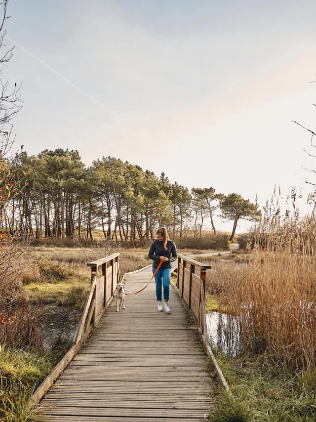 Marais, vers le Maner