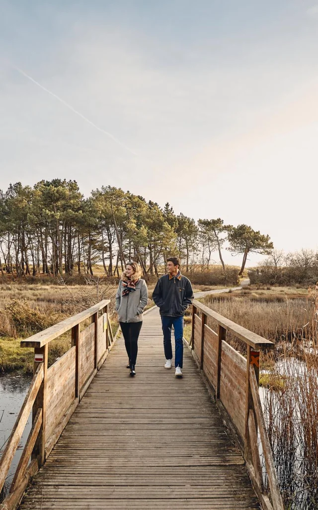 Marais, vers le Maner