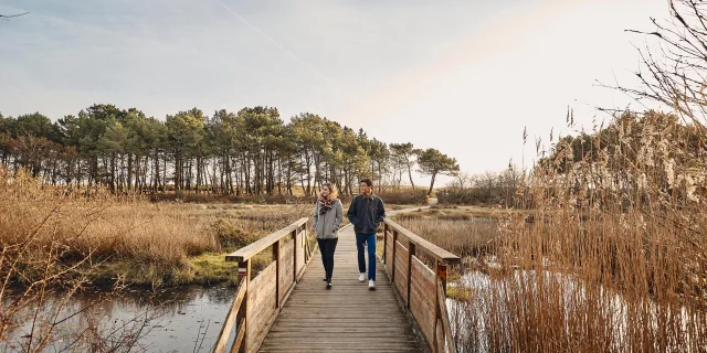 Marshes, towards le Maner