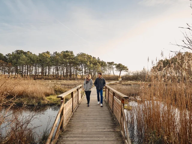 Marais, vers le Maner