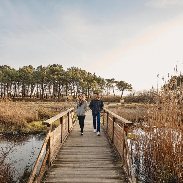 Marais, vers le Maner