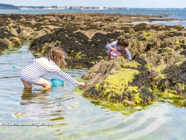 Fouesnant Phillipe Meunier 2019 170