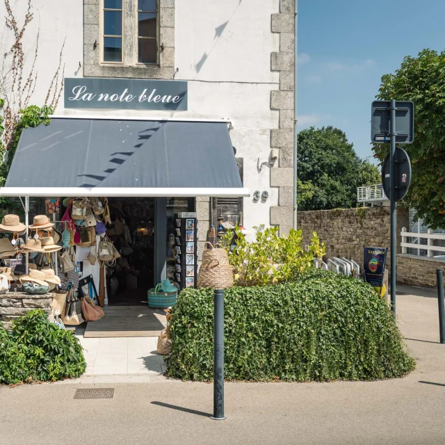 Photographe - vidéaste