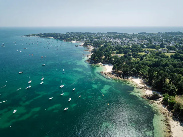 Fotograaf - videograaf