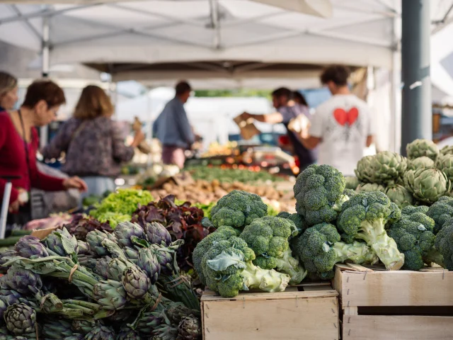 Photographer - videographer