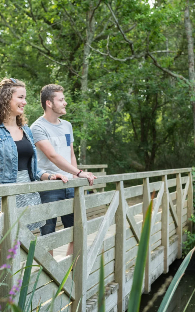 France, Finistere (29), Fouesnant, les marais de Mousterlin
