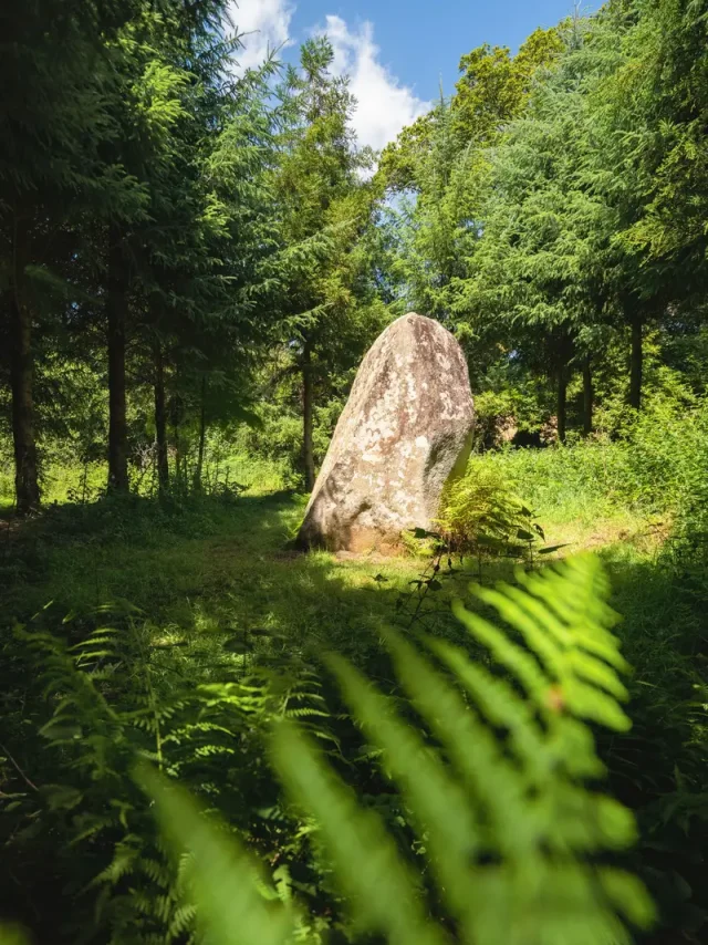 Mehnir St Evarzec Poriel