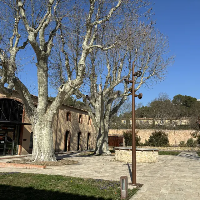 Cour Ferme De Beaurecueil 2