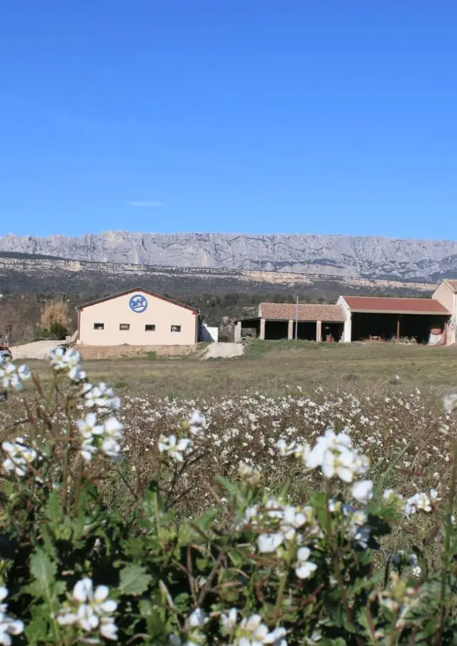 Brasserie Artisanale de Provence@AMBRE HAFROSY
