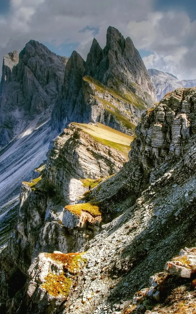 Addon Starter Imagen 9