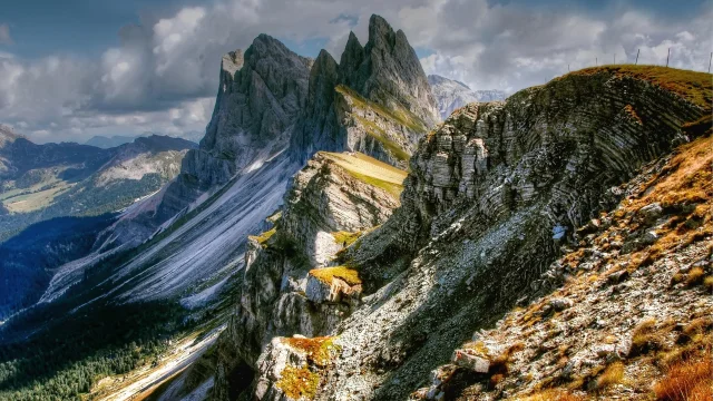 Addon Starter Image 9