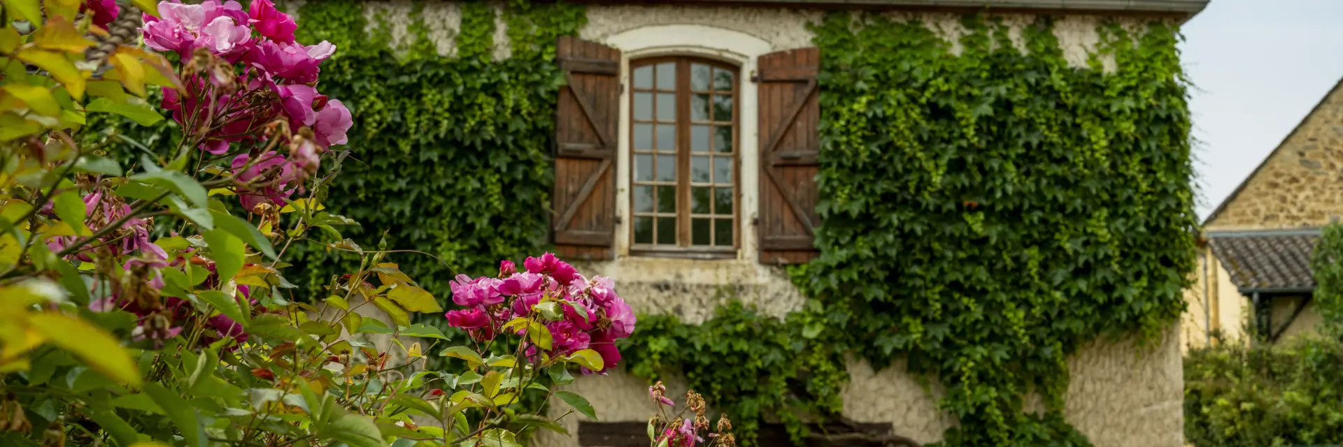 Roses devant une maison à Payrignac