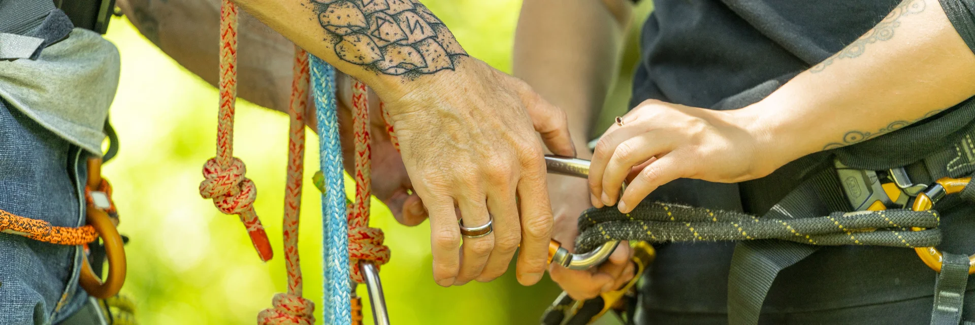 Hands holding on to a karabiner during a tree-climbing workshop