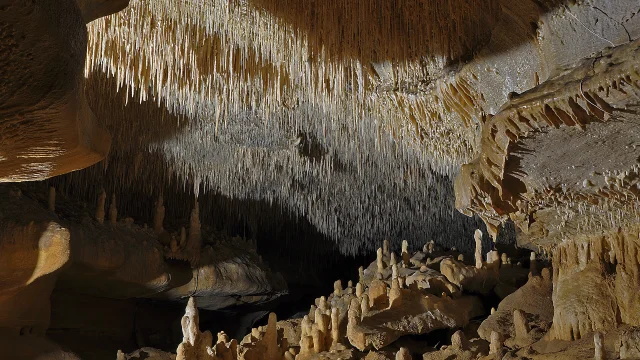 Caves of Cougnac