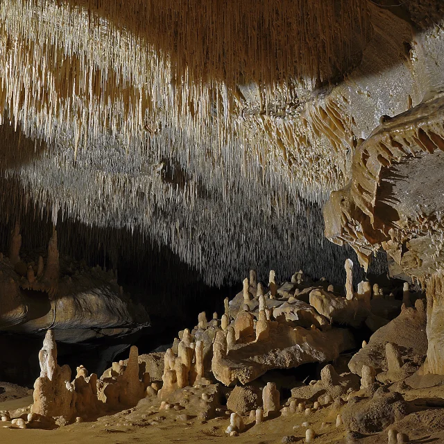 Caves of Cougnac