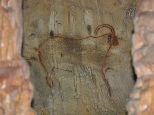 Ibex painting in the Cougnac caves