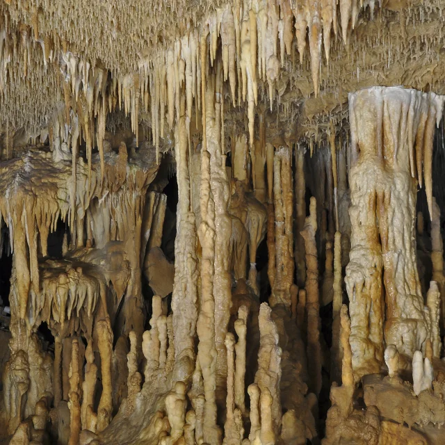 Caves of Cougnac