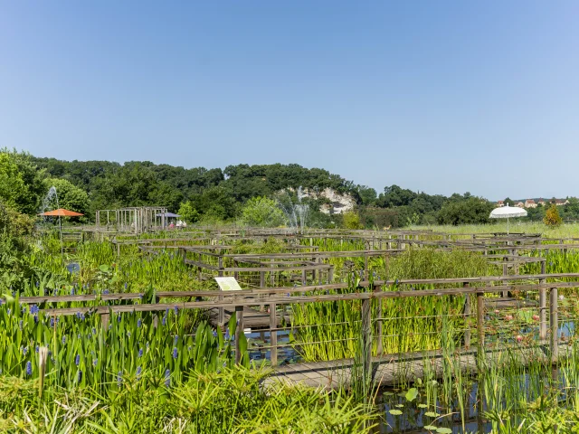 The water garden maze