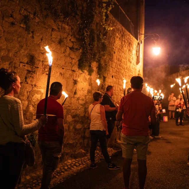 Torchlight tour