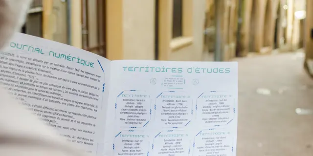 Life-size game 2511 in Gourdon