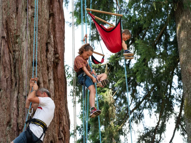 Tree climbing