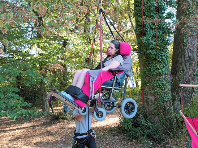 Tree climbing