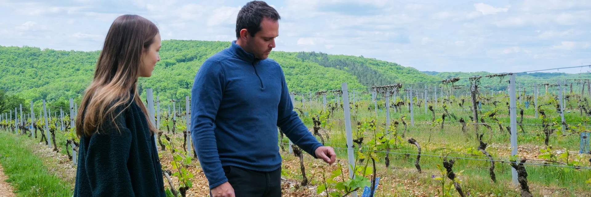 Découverte du vignoble des Claies de Maillol