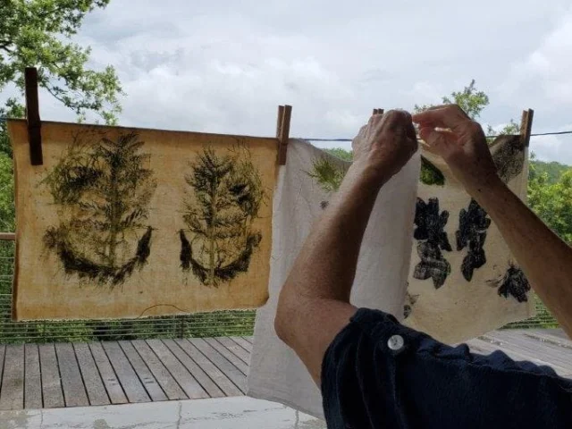 Jardin Bourian Vegetal Impressions