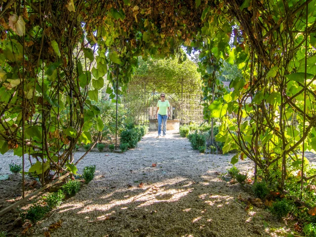 Medieval garden at Salviac