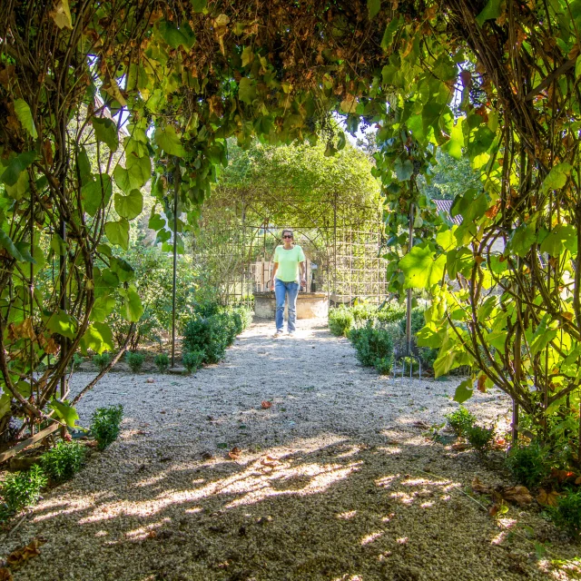 Medieval garden at Salviac