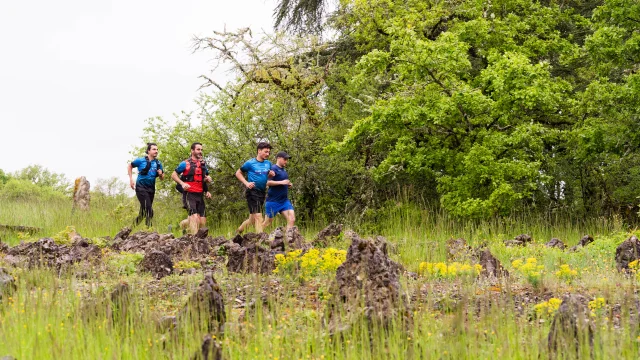 Trail 2