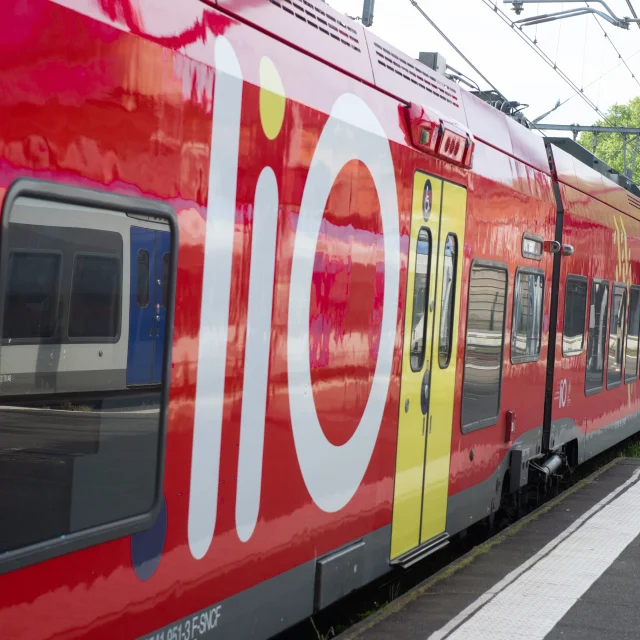Train Lio Lio Train