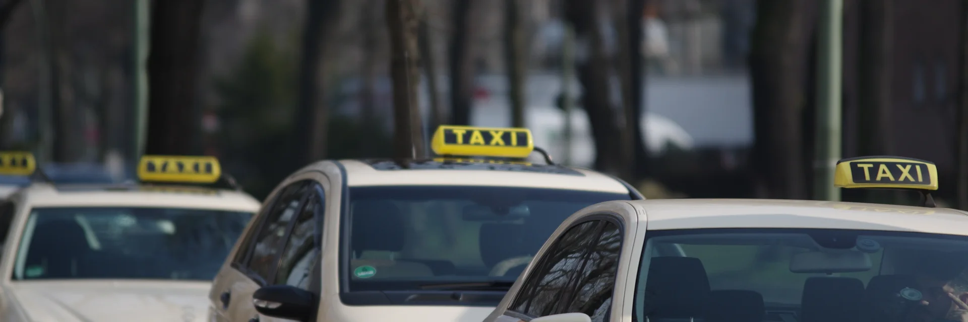 Michael Kauer Taxis