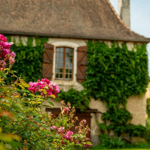 Instagram #paysdegourdon