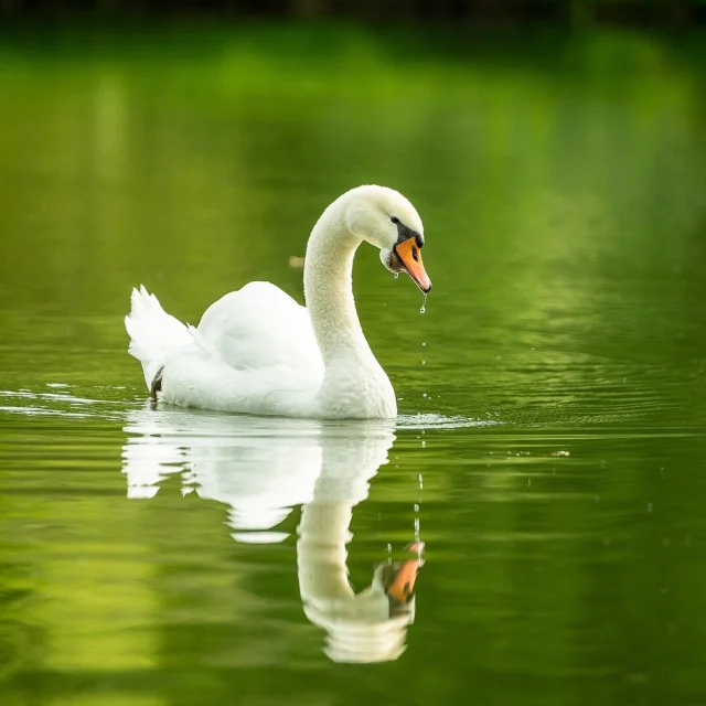 Instagram #paysdegourdon