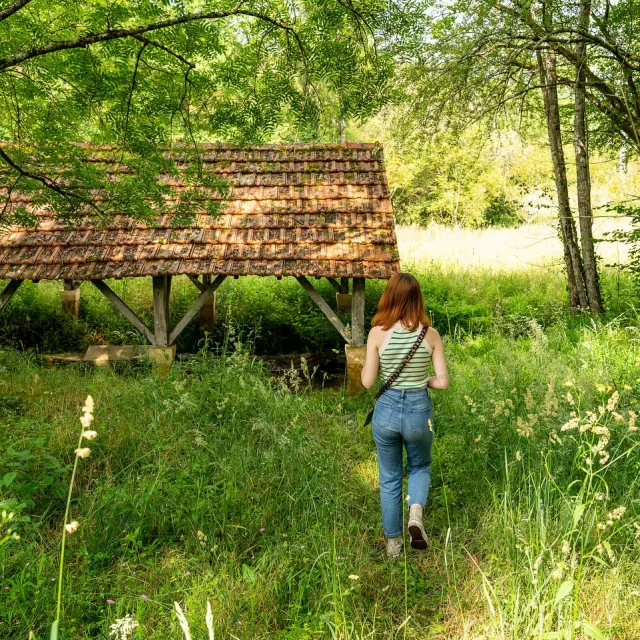 Instagram #paysdegourdon