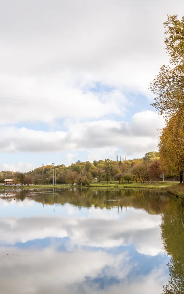 Autumn walk in the woods