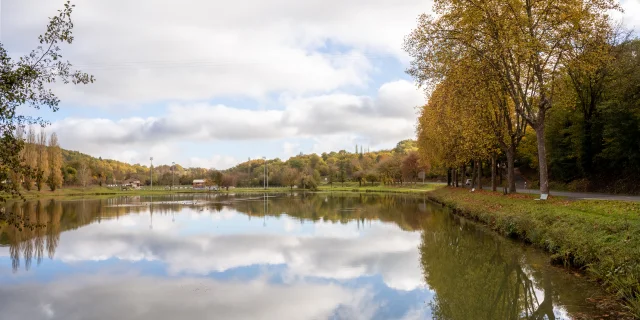 Autumn walk in the woods
