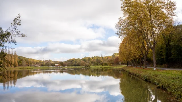 Paseo otoñal por el bosque