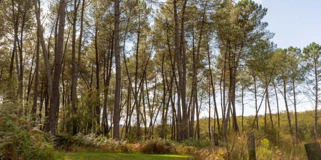 Pays De Gourdon Entre Lot Dordogne F.lacan 041024140313