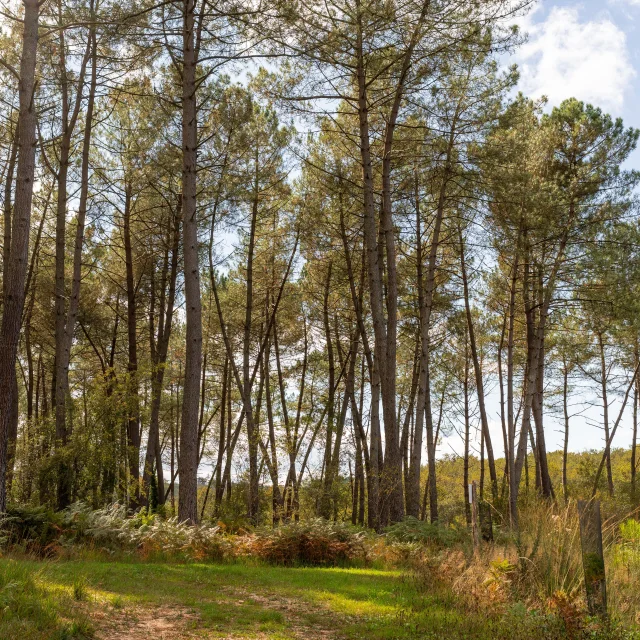 Pays De Gourdon Entre Lot Dordogne F.lacan 041024140313