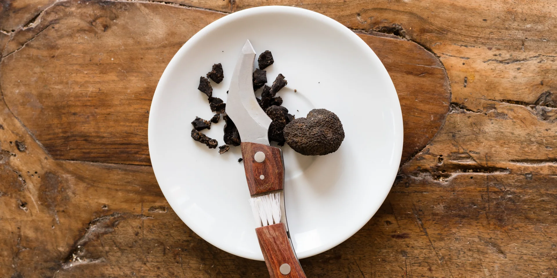 Truffe noire dans une assiette