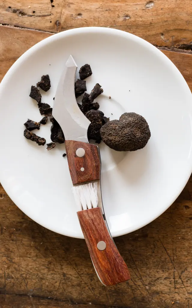 Pays De Gourdon Entre Lot Dordogne F.lacan 180225133728 Rotated