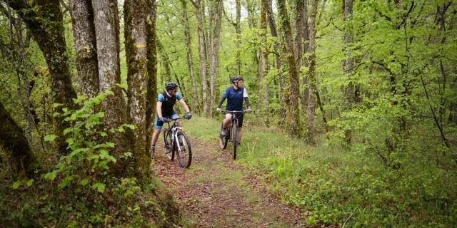 Pays De Gourdon Entre Lot Dordogne F.lacan 240425080705