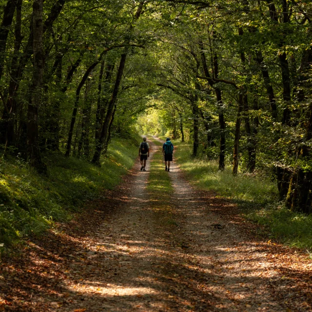 Hikers on the GR 652 in Bouriane