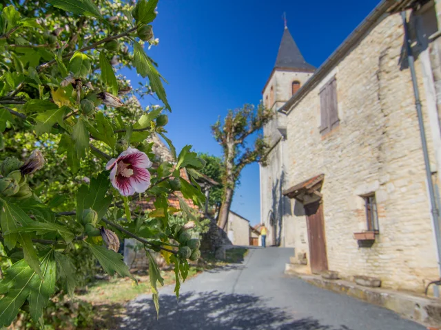 Flower street in Uzech-les-Oules